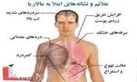 مالاریا در کمین است